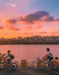 成人黄色视频在线看-对个人和社会的影响，理性探讨与警示