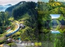 大象传媒 视频-探索大象传媒视频的独特魅力与影响力