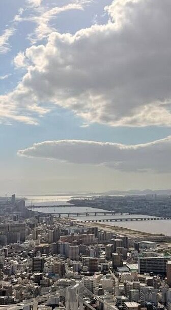 国产成人在线视频手机版-国产成人在线视频手机版，在移动互联网时代下的新趋势与挑战