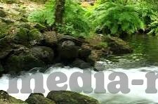 麻豆传媒视频资源下载-正确使用网络资源的重要性，以麻豆传媒视频为镜